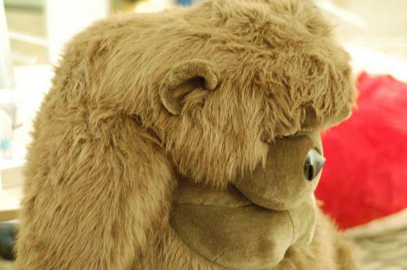 i-asked-kay-whats-with-the-stuffed-bear-her-answer-get-your-facts-right-its-a-stuffed-gorilla-sheesh-it-belongs-to-vp-adam-nash-1