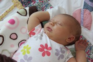 Julia Elizabeth Nash